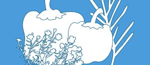 Header Illustration